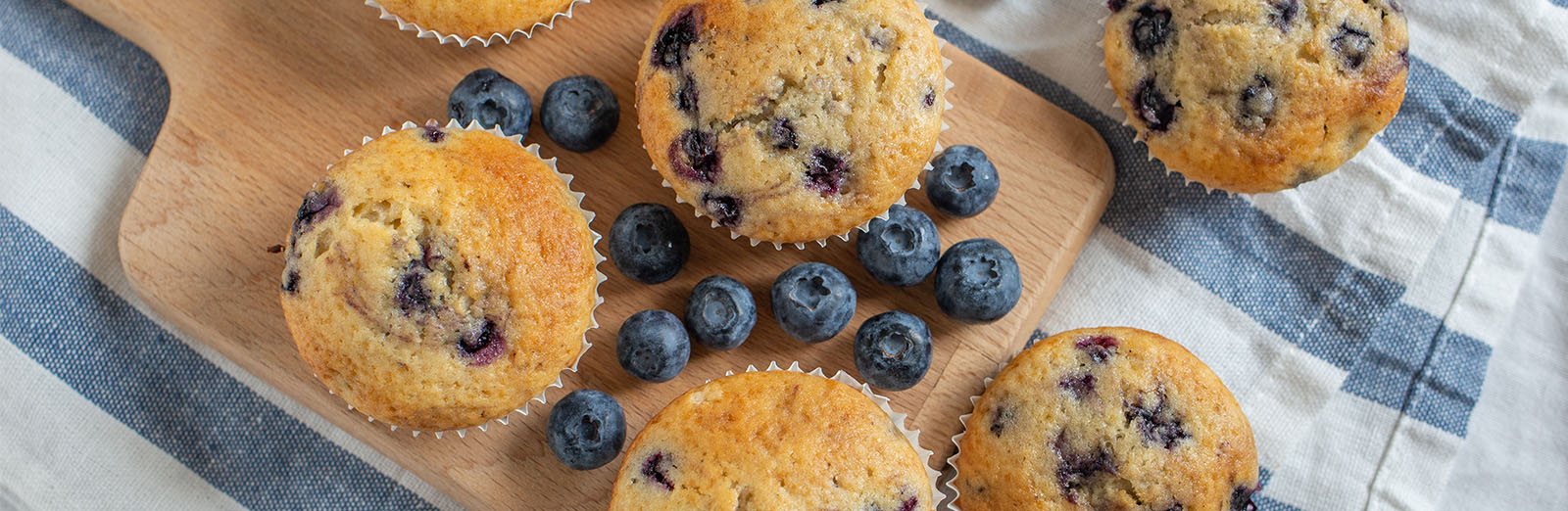 Healthy blueberry muffins-hero image.jpg