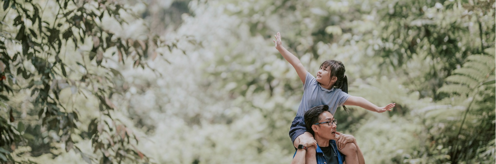 A young child in the woods sitting on her father's shoulders