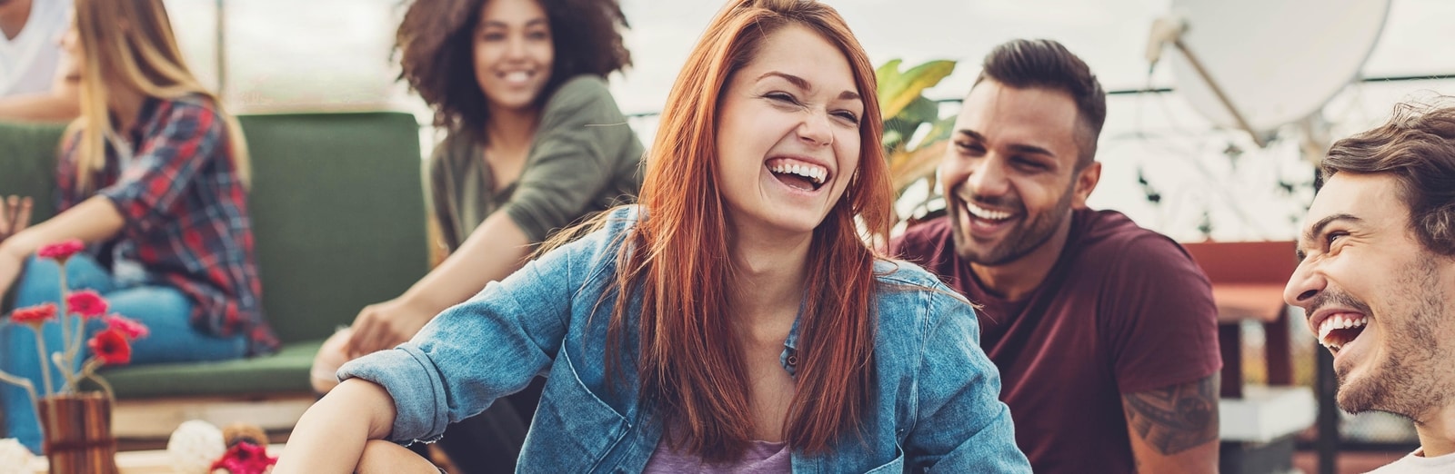 dd-homepage-image3 c.jpg