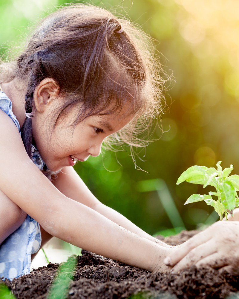 0584 Girl planting 800x1000.jpg