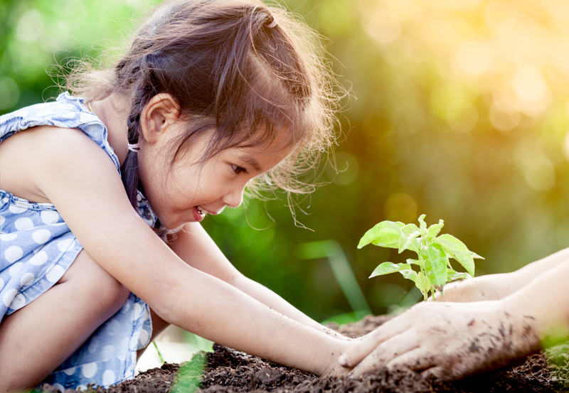 0584 Girl planting 800x553.jpg