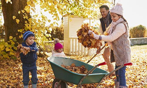 rakingleaves_500x300.jpg