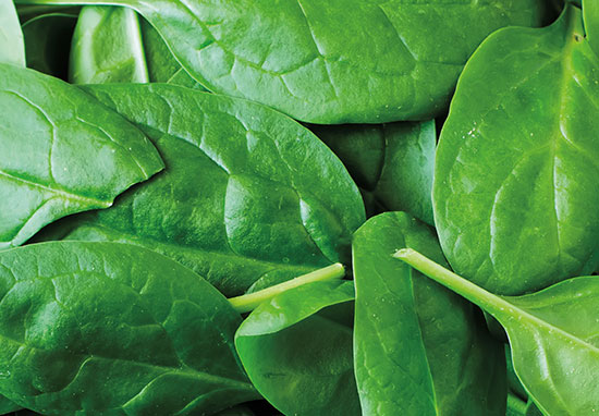 10174-6_Spring_Wellness_Spinach_550x382.jpg