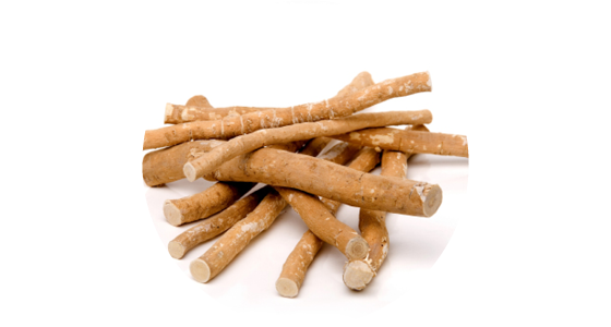 121886_History_miswak_560x300_Circle.png