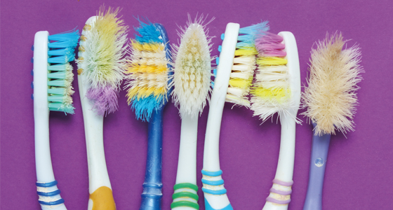 12267-6 5Years-Toothbrushes-560x300.jpg