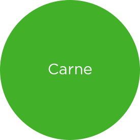 12267-6 AnatomyBurger-Green-275-Carne.png