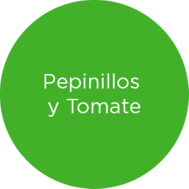 12267-6 AnatomyBurger-Green-Pepinillos y Tomate.png
