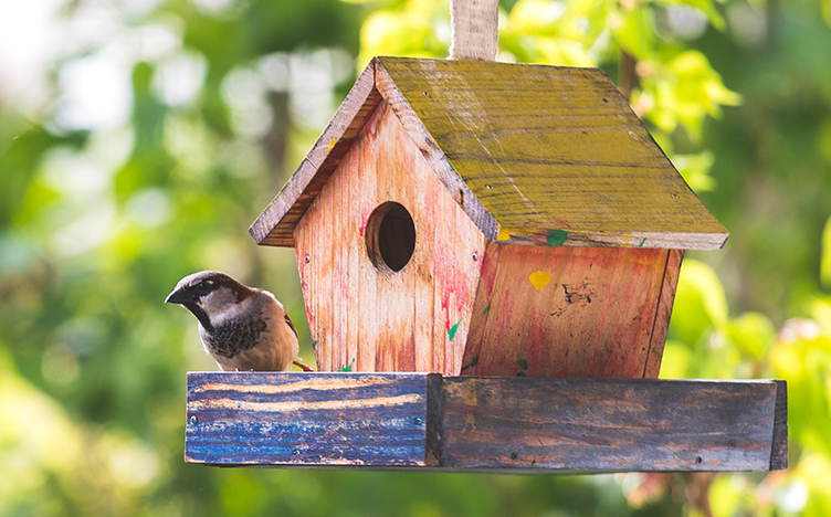 Spring_Birdhouse752x468px.jpg