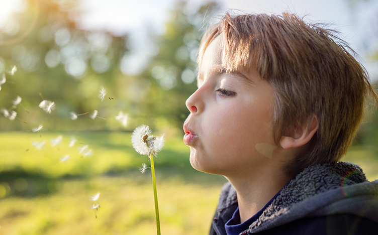 Spring_Dandelion_752x468px.jpg