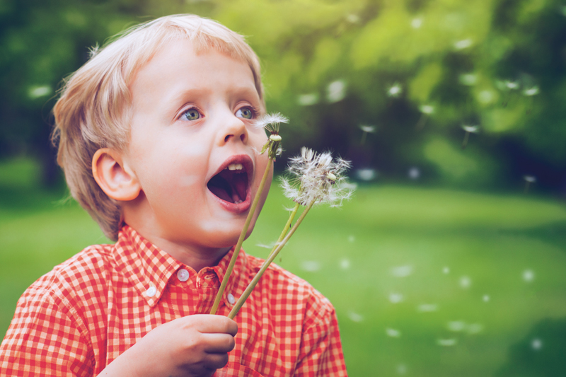 boy-blowing-dandelions-800x533.jpg